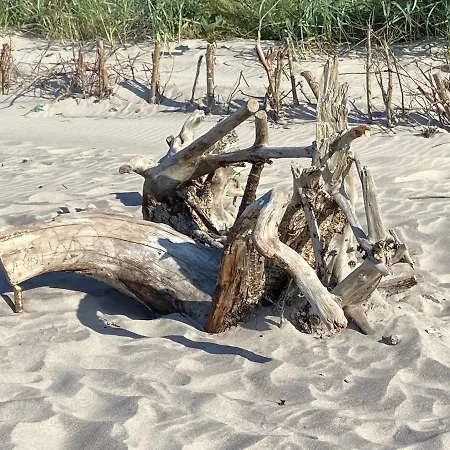 Casa vacanze Letnisko Rusinowo *