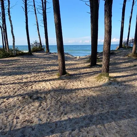 Holiday home Letnisko Rusinowo