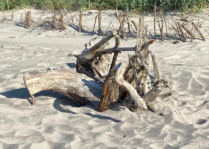 Semesterbostad Letnisko Rusinowo *