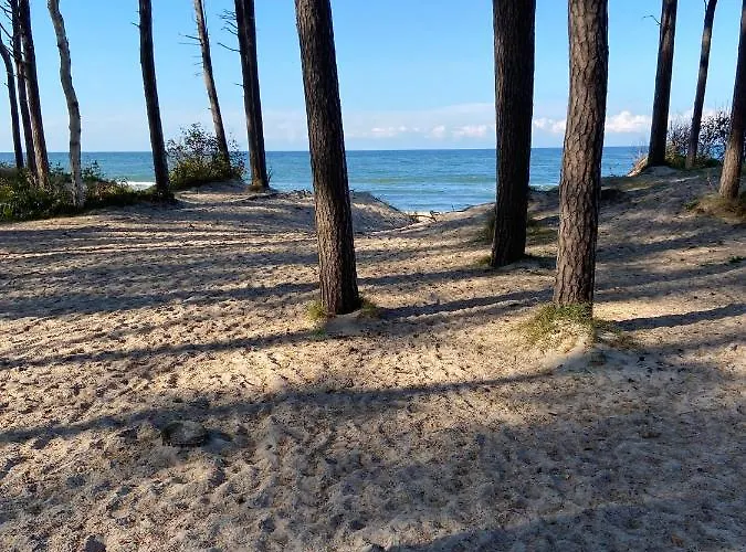 Holiday home Letnisko Rusinowo