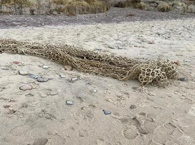 Letnisko Rusinowo Semesterbostad *